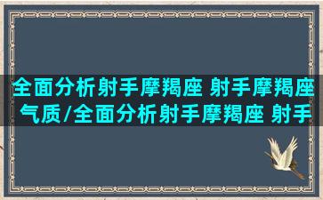 全面分析射手摩羯座 射手摩羯座气质/全面分析射手摩羯座 射手摩羯座气质-我的网站